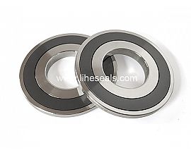 Silicon carbide ring with stainless steel holder